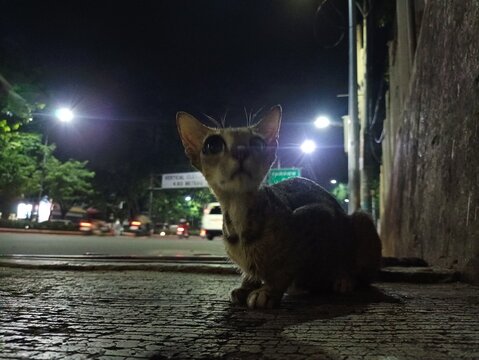 Strolling down the memory lane