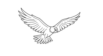 Obraz premium Line drawing of an eagle in flight, wings outstretched, soaring gracefully.