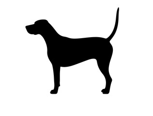  Pointer in silhouette on white background.