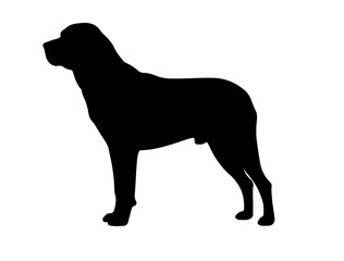 Bankhar Dog in silhouette on white background.