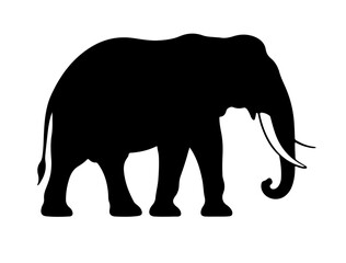 Fototapeta premium Elephant in silhouette image white background.