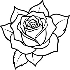 Single Bloom Rose Outline