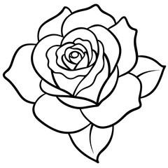 Single Bloom Rose Outline