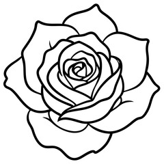 Single Bloom Rose Outline