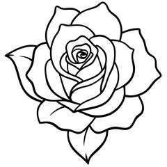 Single Bloom Rose Outline