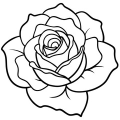 Single Bloom Rose Outline