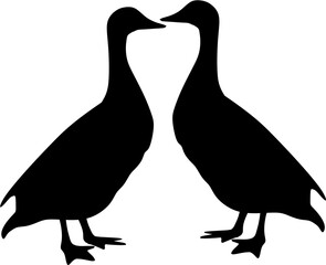 background ilustration two duck 