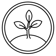 Delicate Plant Line Art Vectors