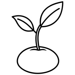 Delicate Plant Line Art Vectors