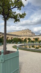 Versailles Palace Gardens with Tree, Fountain, and Gravel Path