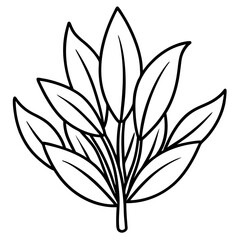 Delicate Plant Outline Vector