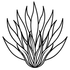 Delicate Plant Outline Vector