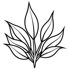 Delicate Plant Outline Vector