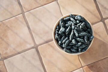 Top View of Bowl Filled with Fresh Honeysuckle Berries. Healthy Summer Fruit on a Tile Surface.