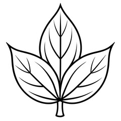 Early Leaf Shape Line Art Vector