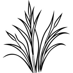 Elegant Grass Blades Line Art