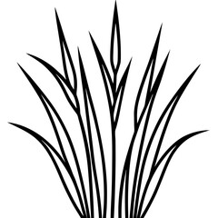 Elegant Grass Blades Line Art