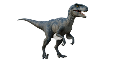 Velociraptor dinosaur, 3d rendered isolated on transparent background
