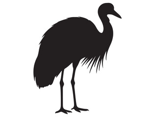 AUSTRALIAN CRANE BIRD SILHOUETTE