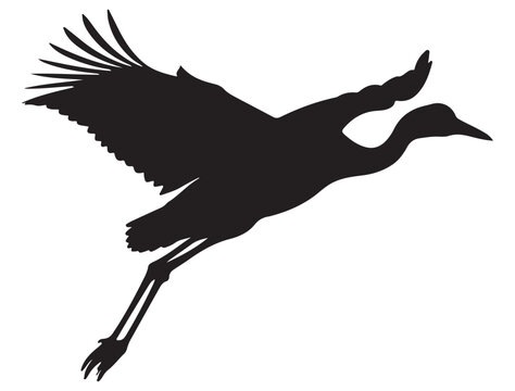 AUSTRALIAN CRANE BIRD SILHOUETTE