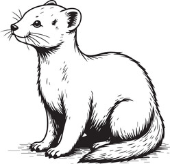 Stoat in contemplation: A stoat poses regally in the natural environment, displaying it's refined, long and slender body, a stunning image captured with illustrative precision.