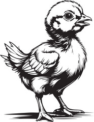 Adorable chick, ready to discover the world:A beautifully crafted illustration of a cheerful little chick standing in profile, capturing its innocent curiosity and gentle nature.