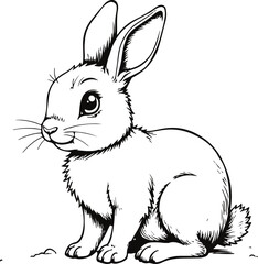 Bunny's Gentle Gaze: An adorable bunny with long ears and delicate whiskers, poised in a cute pose, looking with an innocent expression, brings warmth and tenderness to any visual project.