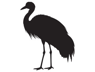 Obraz premium AUSTRALIAN CRANE BIRD SILHOUETTE