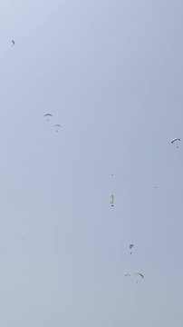 Many paragliders in the sky