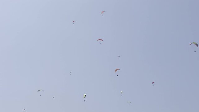Many paragliders in the sky