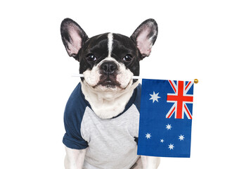 Charming puppy and Australian Flag. Travel preparation and planning. Close-up, indoors. Studio shot, isolated background. Vacation, travel and tourism concept. Pet care