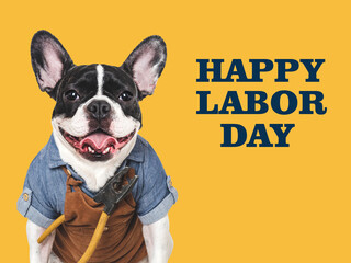 Happy Labor Day. Cute brown puppy and congratulatory inscription. Closeup, indoors. Studio photo....
