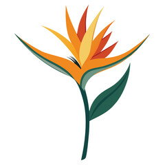 Stylized Bird of Paradise Flower Illustration Orange, Yellow and Green Colors on White