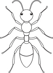 Ant insect drawing for early learners