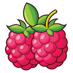 Two Bright Pink Raspberries with Green Leaves on a White Background