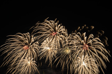 Colorful Fireworks Display Over Water