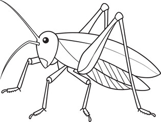 Katydid insect art activity for preschool