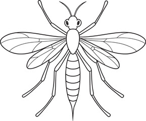 Midge tiny insect line art worksheet