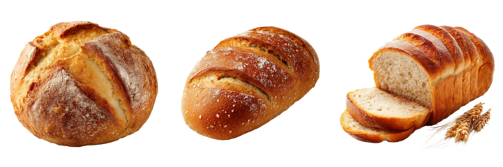Freshly baked bread varieties bakery food photography indoor close-up