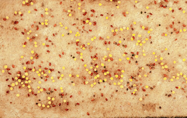Microgreens soaked on a special linen mat