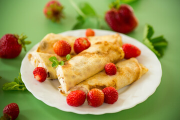 Ukrainian pancakes with cottage cheese in a white plate on a green background