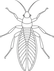 Stonefly preschool worksheet for coloring time