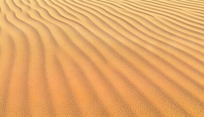 Fototapeta premium sand dunes in the desert