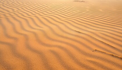 Fototapeta premium sand dune texture