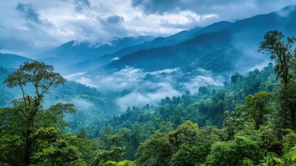 clouds over the mountains