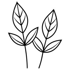 Minimal Leaf Duo Line Art