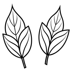 Minimal Leaf Duo Line Art