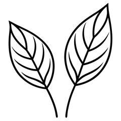 Minimal Leaf Duo Line Art