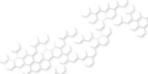  Hexagon white light and shadow background,  modern abstract vector polygonal pattern luxury White Pattern, abstract white vector wallpaper with hexagon grid, abstract hexagon honeycomb background.