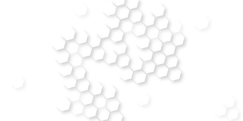  Hexagon white light and shadow background,  modern abstract vector polygonal pattern luxury White Pattern, abstract white vector wallpaper with hexagon grid, abstract hexagon honeycomb background.